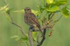 dsc04192_small.jpg