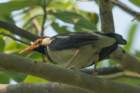 dsc04342_small.jpg