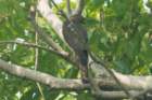 dsc04350_small.jpg