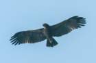 dsc04366_small.jpg
