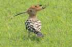 dsc04426_small.jpg