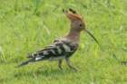 dsc04435_small.jpg