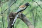 dsc04500_small.jpg