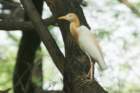 dsc04506_small.jpg