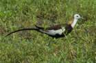 dsc04557_small.jpg