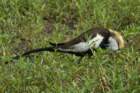 dsc04558_small.jpg