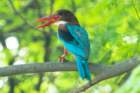 dsc04571_small.jpg