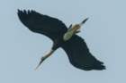 dsc04574_small.jpg