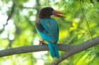 dsc04588_small.jpg