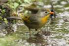 dsc05100_small.jpg