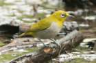 dsc05117_small.jpg