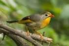 dsc05202_small.jpg