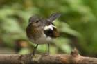 dsc05224_small.jpg