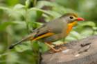 dsc05301_small.jpg