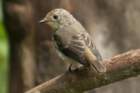 dsc06142_small.jpg