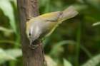 dsc06177_small.jpg