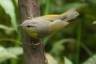 dsc06186_small.jpg