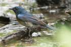 dsc06188_small.jpg