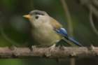 dsc06210_small.jpg