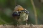 dsc06214_small.jpg