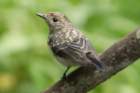 dsc06217_small.jpg