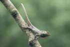 dsc07162_small.jpg