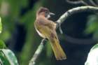 dsc07228_small.jpg