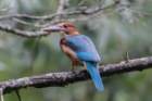 dsc07240_small.jpg