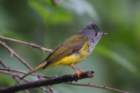 dsc07445_small.jpg