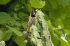 dsc07501_small.jpg