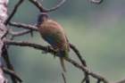 dsc07673_small.jpg
