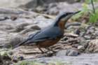 dsc07784_small.jpg