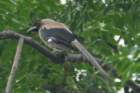 dsc07854_small.jpg