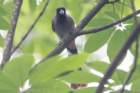 dsc08069_small.jpg