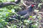 dsc08172_small.jpg