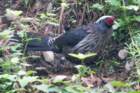 dsc08181_small.jpg