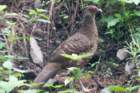 dsc08209_small.jpg