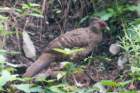 dsc08212_small.jpg
