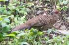 dsc08252_small.jpg