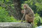 dsc08285_small.jpg