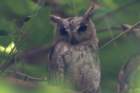 dsc09328_small.jpg