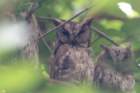 dsc09332_small.jpg