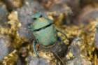 dsc09378_small.jpg