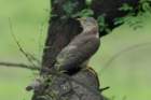 dsc09407_small.jpg
