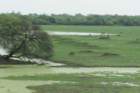 dsc09625_small.jpg