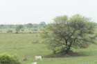 dsc09627_small.jpg