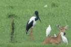 dsc09801_small.jpg