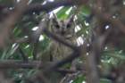 dsc09826_small.jpg