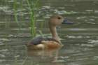dsc09860_small.jpg