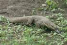 dsc09897_small.jpg